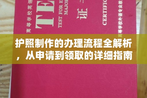 梨树县护照制作的办理流程全解析，从申请到领取的详细指南