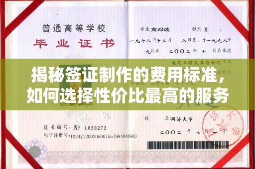 梨树县揭秘签证制作的费用标准，如何选择性价比最高的服务？