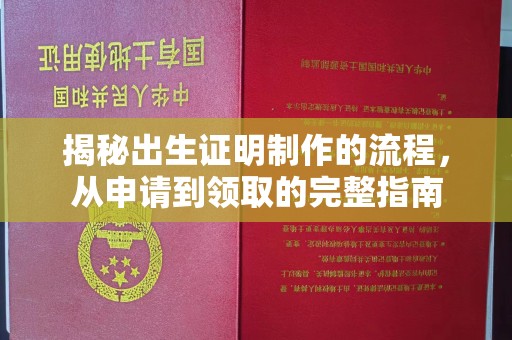 梨树县揭秘出生证明制作的流程，从申请到领取的完整指南