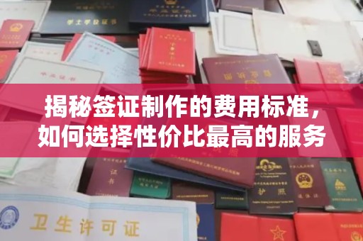 梨树县揭秘签证制作的费用标准，如何选择性价比最高的服务？